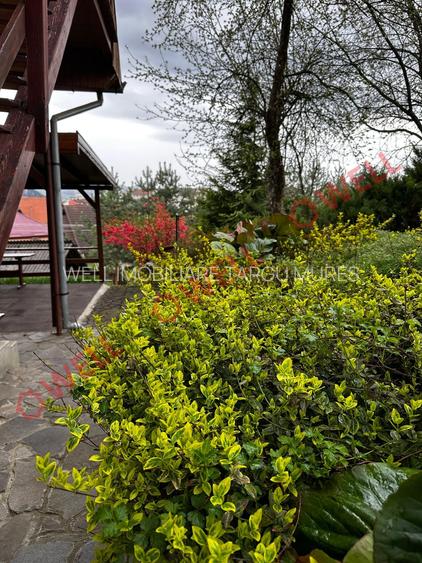 De închiriat două case de vacanță pe aceeași curte, în Sovata! - 18