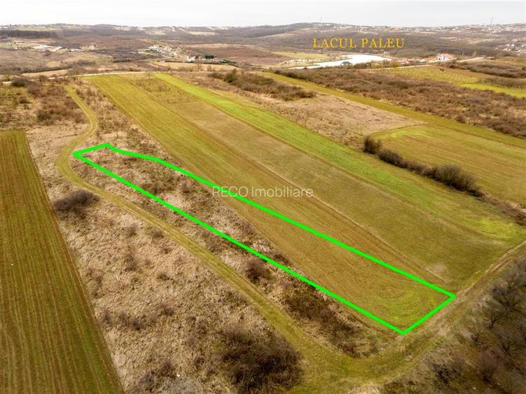 RECO Teren intravilan in Paleu - 2