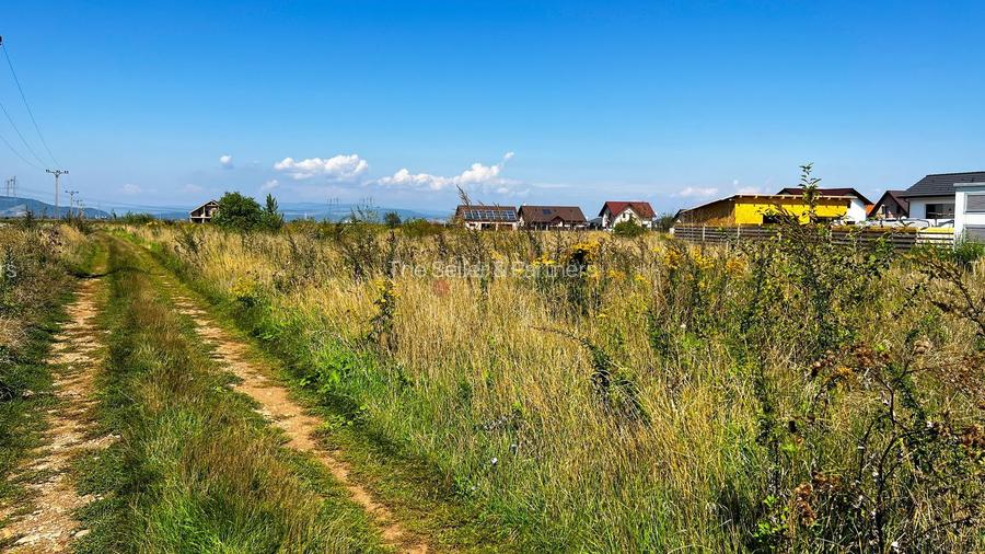 Teren intravilan Brasov - Cartierul Izvor - investitie - 6