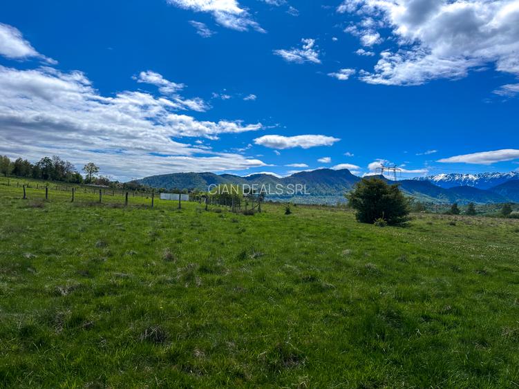 Teren Bran Zarnesti 3 km Castelul Bran 25 km Brasov - 8