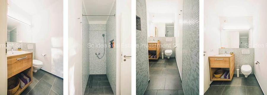 Spatiu SAD zona Dacia parter - terasa proprie !! - 10