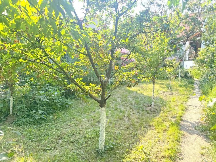 Apartament la casa- Zona Elisabetin Timisoara - 9