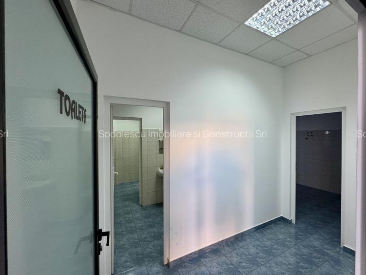 Clădire SAD de închiriat, situată la intrarea în Dumbrăvița - 31