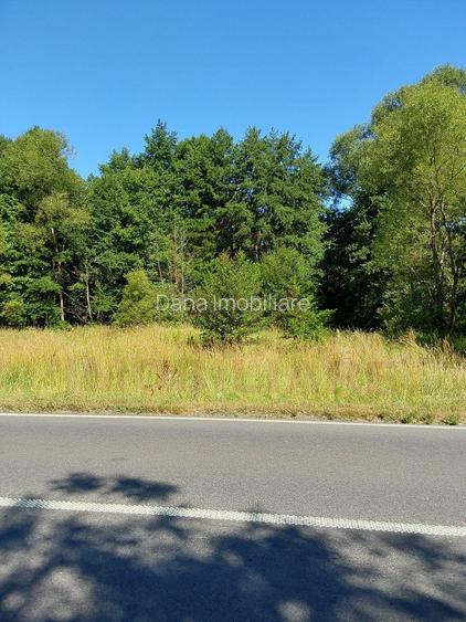 TEREN INTRAVILAN ÎN MARGA-LA DN68 JUD.CARAȘ-SEVERIN - 3