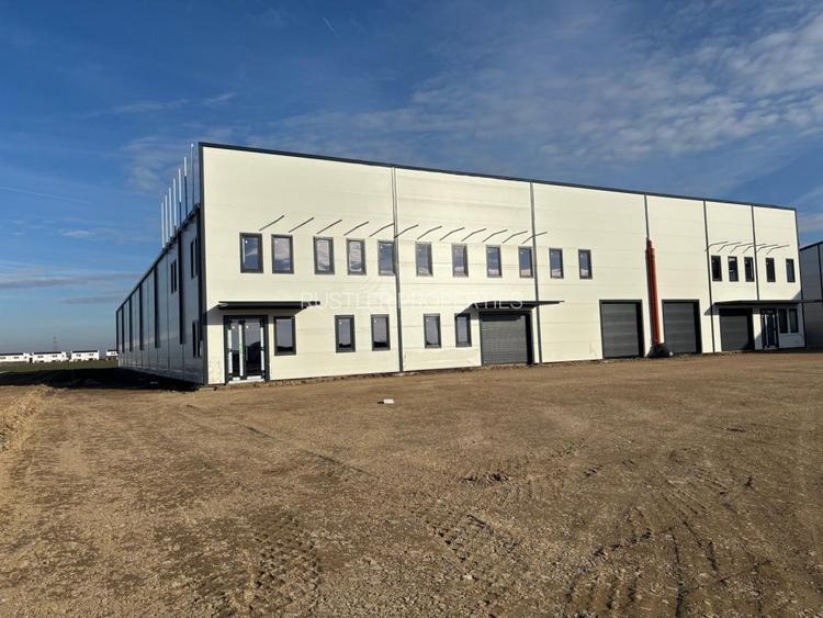 Hala de vanzare Balotesti - Dimieni - 5