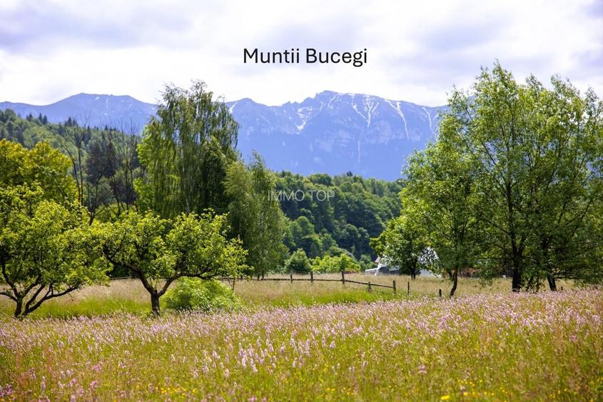 Teren intravilan plat in Bran, 1000 mp, vedere către Bucegi, utilitati - 7