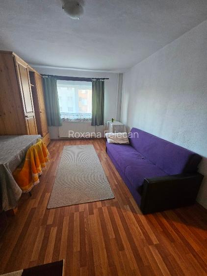 Închiriez apartament 1 cameră, decomandat, 35 mp, Mănăștur - 3
