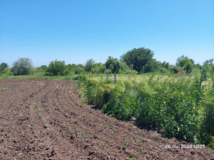 Teren  intravilan  540 mp / Vama Veche - 13