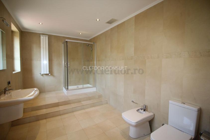 Vila Individuala de Inchiriat in Zona Iancu Nicolae - 6