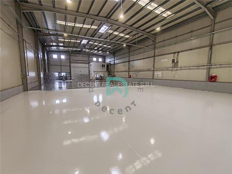 Inchiriere hala industriala Parc Industrial, Brasov - 9