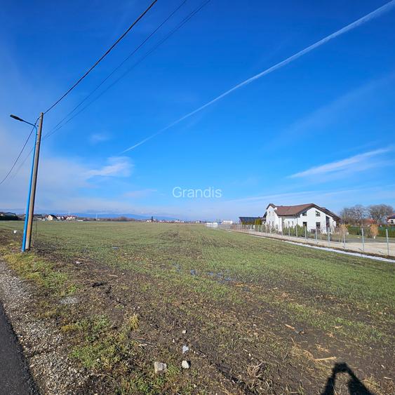 Teren intravilan - Str. Morarului, ideal pentru ansamblu rezidential - 2