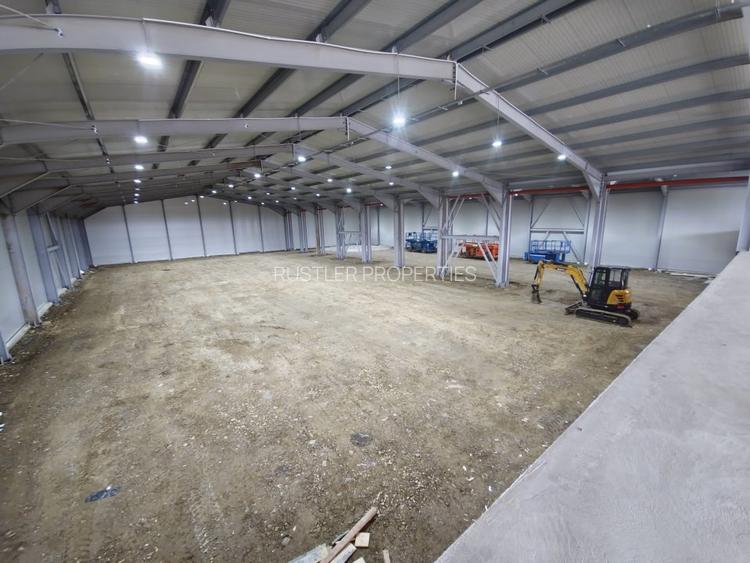 Hala de vanzare Balotesti - 3