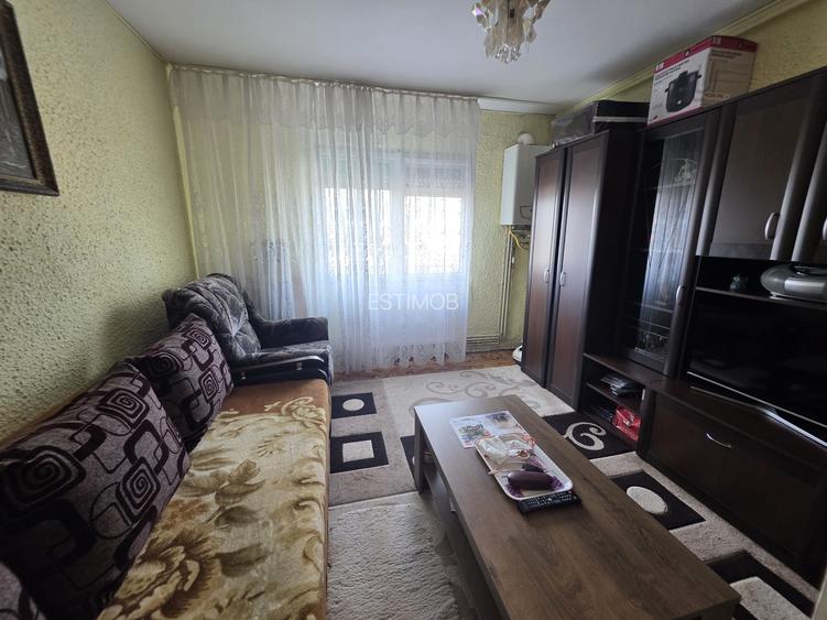 Vand camera de camin Electroprecizia - 4