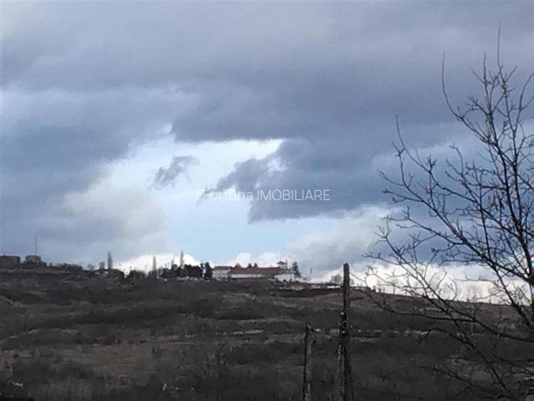 Vanzare teren intravilan 3715 mp – ideal pentru dezvoltare rezidentiala - 5