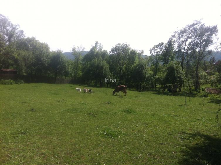 Teren Comarnic, cartier Poiana - 4