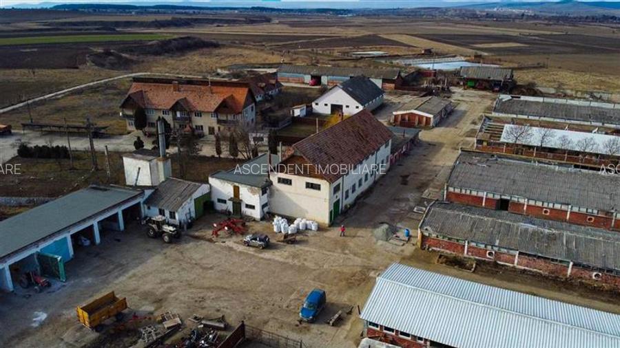 Ansamblu agrozootehnic cu renume,dotat +valoare exceptionala+potential versatil, - 48