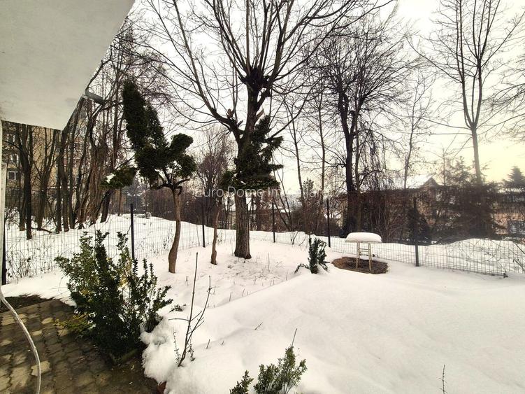 Ultracentral, apartament in casa, pretabil locuit / birouri, pet friendly. - 2