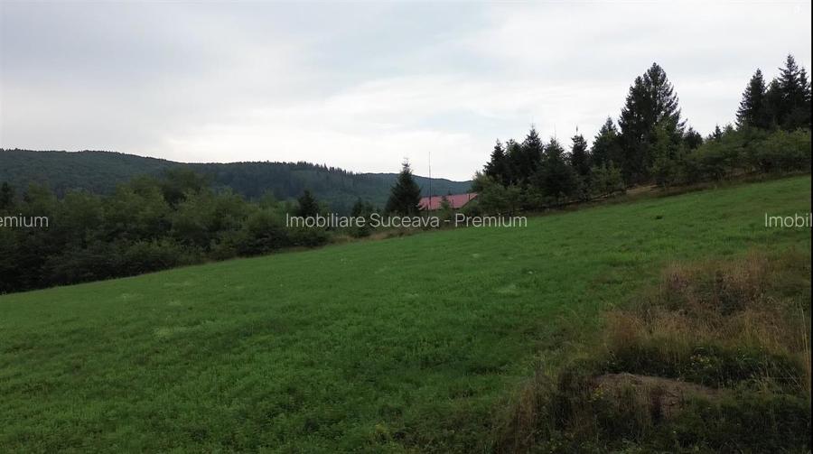 Teren 5023 mp  In Bucovina Zona Manastirea Voronet De Vanzare 0727817187 - 19