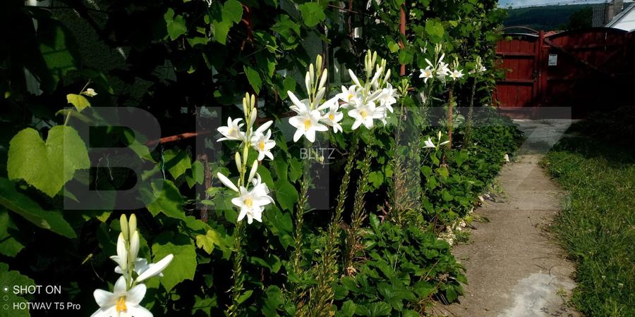 Casă de vânzare în comuna Homorod – liniște, confort și natură - 17