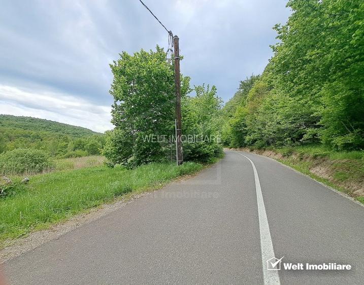 Teren 5000 mp,  la 300 m de Lacul Micesti - 4