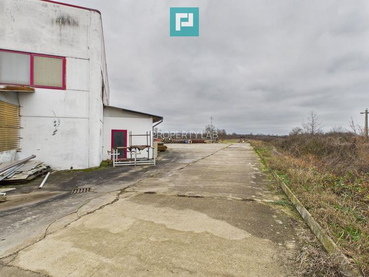 Hală de producție, cu birouri și teren, în Sebiș - 53