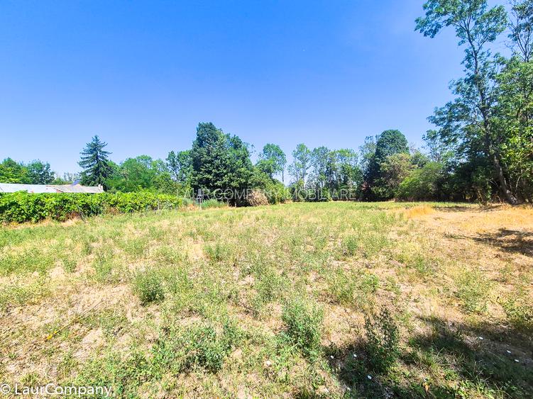 Casa , teren intravilan Urlueni Barla Arges - 20