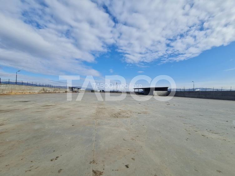 Spatiu industrial de inchiriat in Sebes judetul Alba - 6