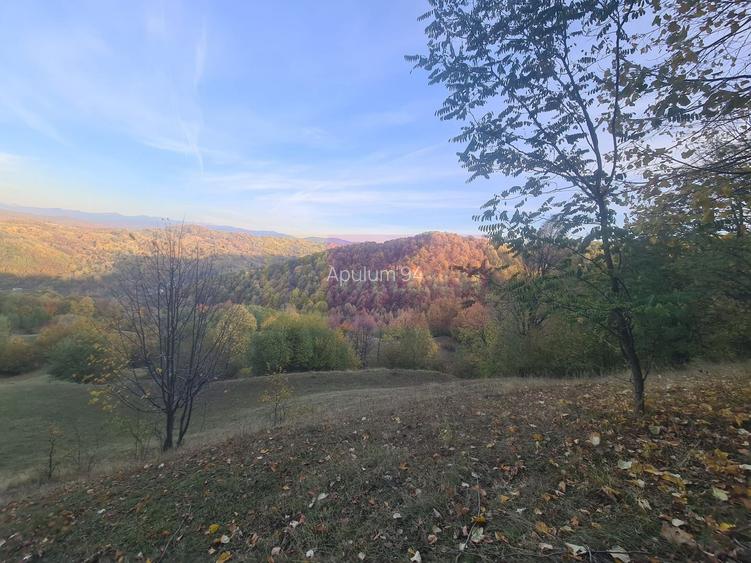 Teren intravilan de vanzare in Telega - 17