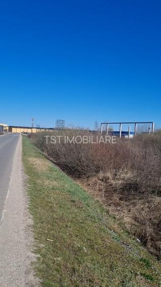 Vanzare Teren Intravilan– Dorolt - 2