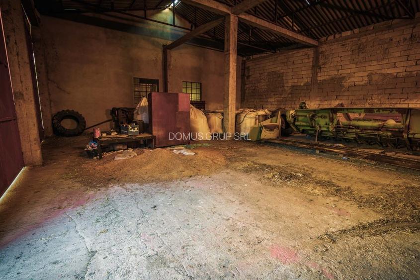 Poarta Alba, hale depozitare productie, teren 9100 mp - 17