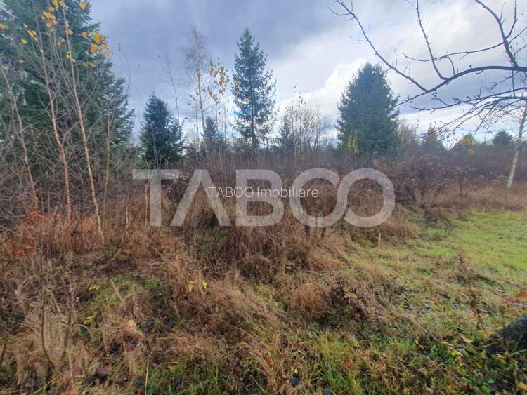 Teren extravilan 1000 mp Statiunea Climaterica Sambata de Sus - 3