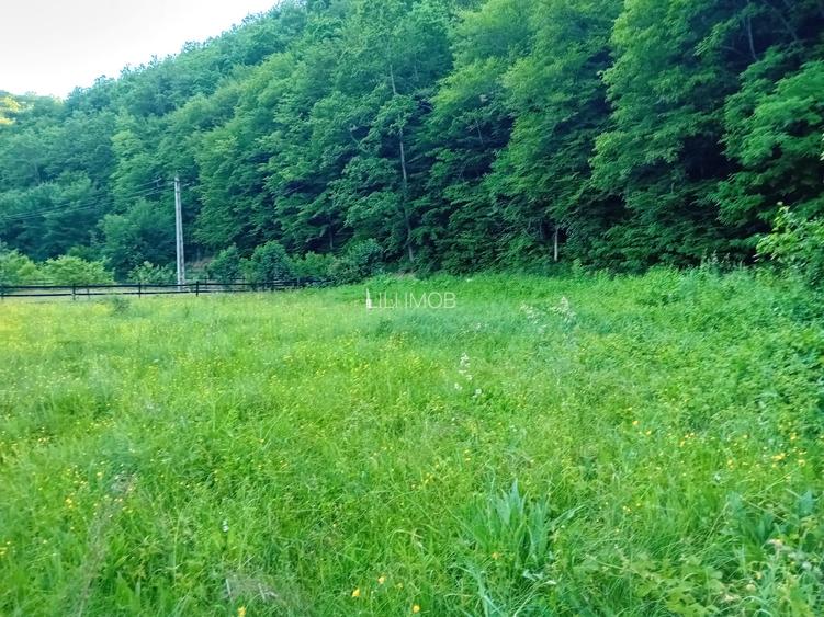 De vanzare casa pentru vacanta - 4