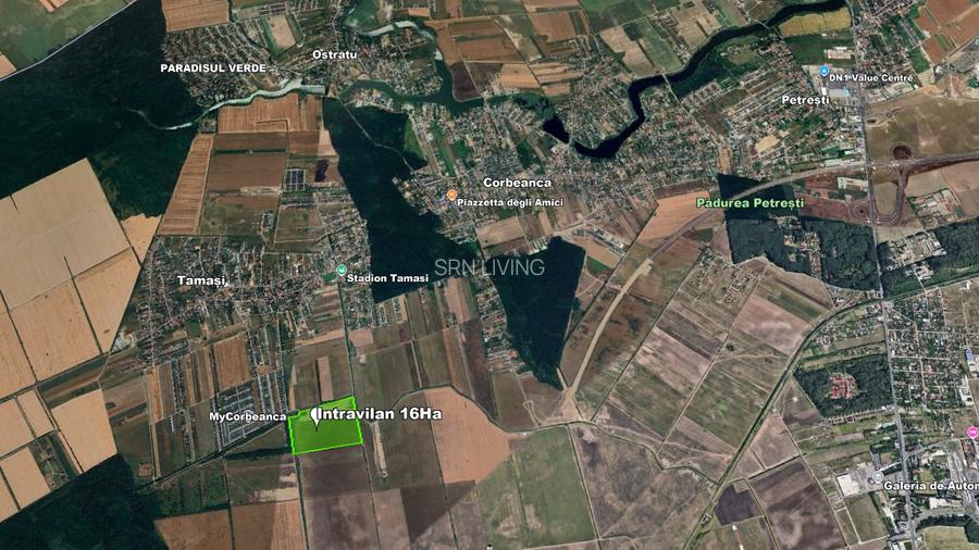 Teren intravilan 16 ha, tangent DR4, acces dublu la asfalt - 8