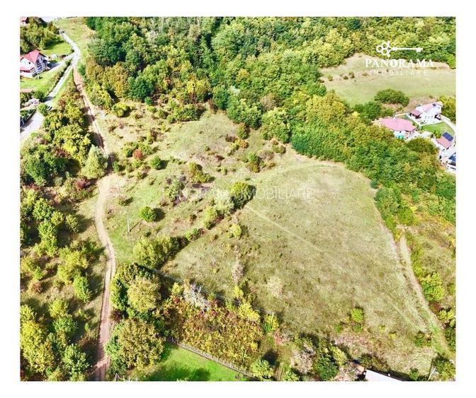 Teren intravilan cu vedere panoramică  4230mp – Mediaș - 4