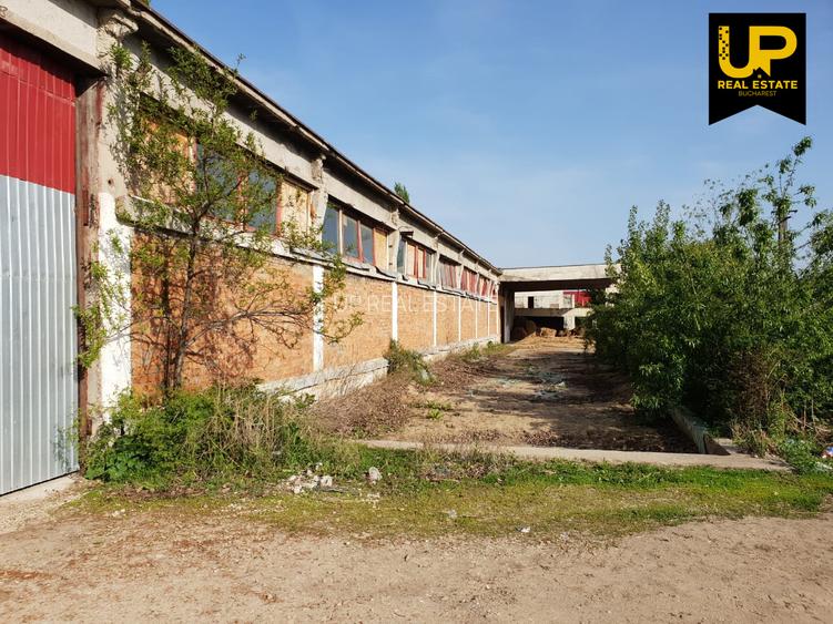 Buzau - Vernesti / Spatiu Industrial + Hale / Toate Utilitatile - 3