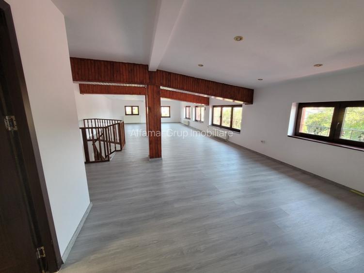 Casa individuala, ideala sediu firma Rahova- Teius - 18