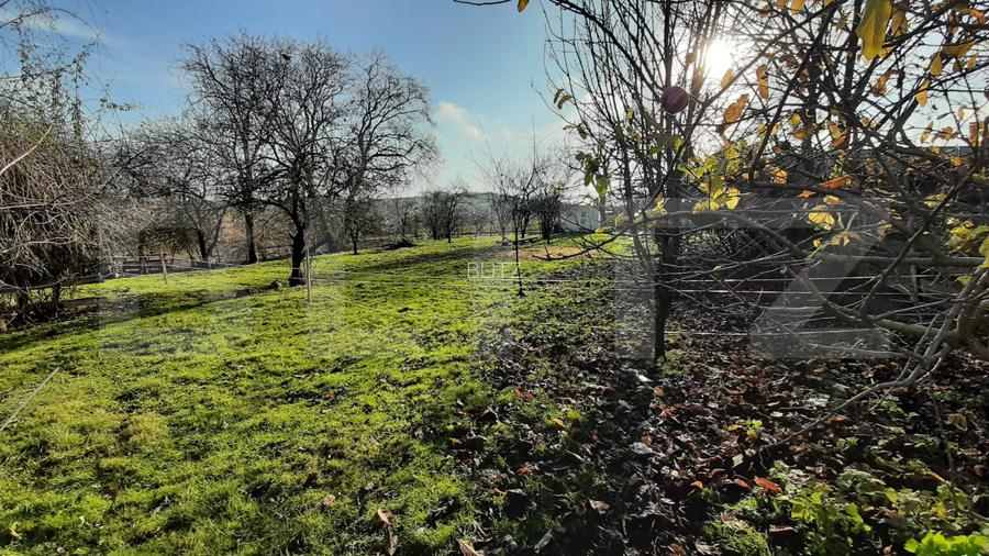 Casa individuala de vanzare, 125 mp, 2112 mp teren, in Deusu - 7