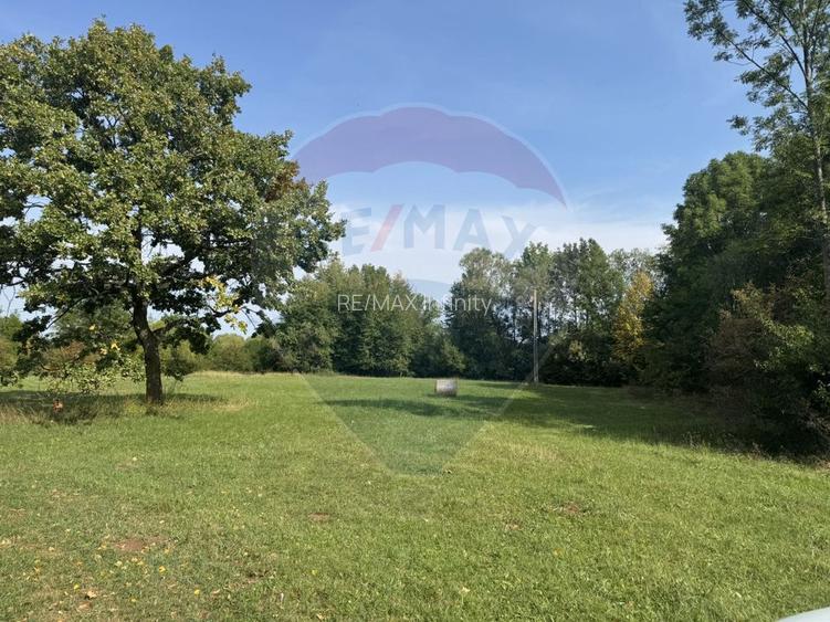 Teren 10.000 mp Calatele – Apuseni, langa rau, ideal investitie turism - 2