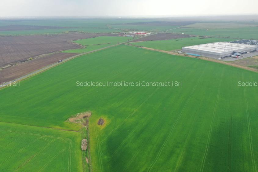 Teren industrial Dudestii Noi - 4