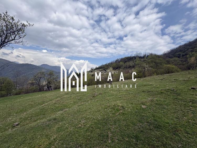 Teren de vânzare, 7750 mp I Orientare sudică I Caineni - 2