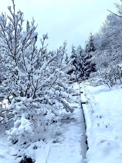 Teren intravilan 5660 mp - 6