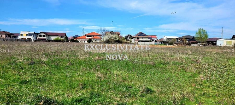 0% ! Teren INTRAVILAN Padurea Cernica 4900-9800MP INTRAVILAN - 4