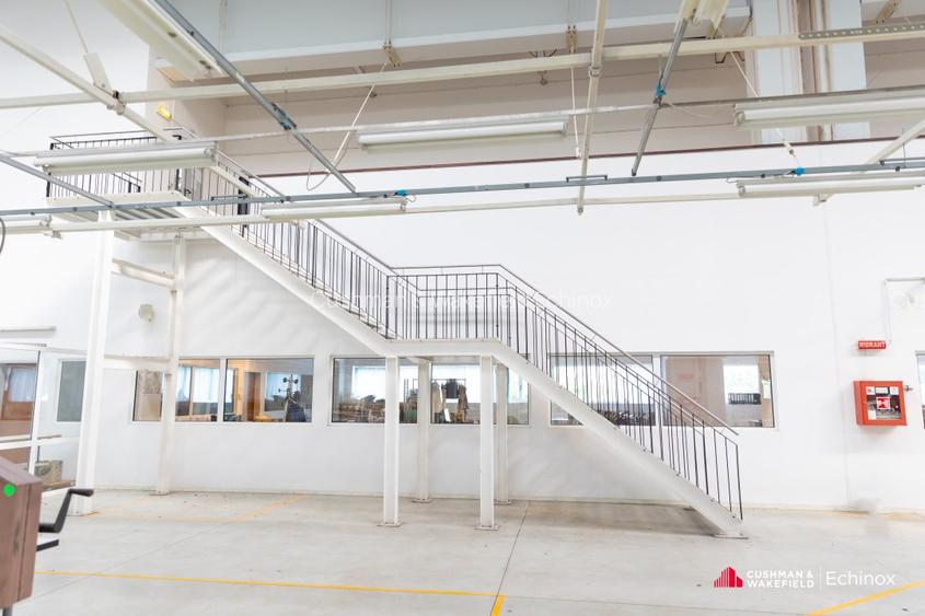 Timișoara - Depozit și birouri de vânzare - 4