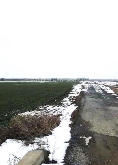 Teren agricol 100 ha| Comasat 100%| Categoria A1 - 4