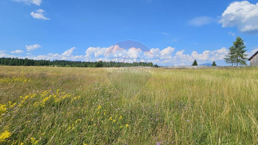 Teren parțial intravilan 30,930 mp Poiana Stampei-DN E58, Suceava - 18