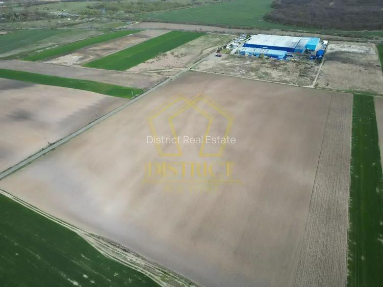 Teren extravilan - constructii industriale 5ha | Sag | Frigoglass - 5