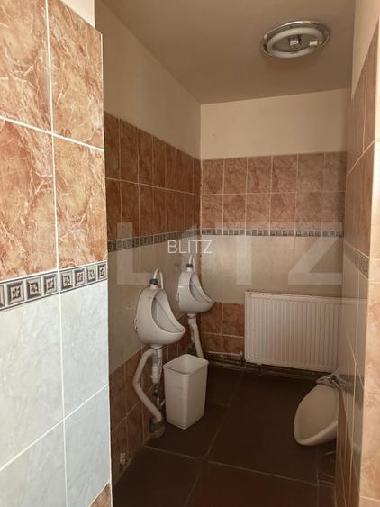 Teren 5.800 mp cu utilitati si constructii existente–Oportunitate de investitie! - 7