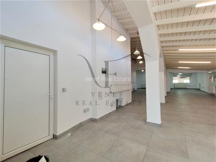 Vila 9 camere 3 grupuri sanitare 1 terasa 354 mp Vasile Lascar Stefan cel Mare - 8