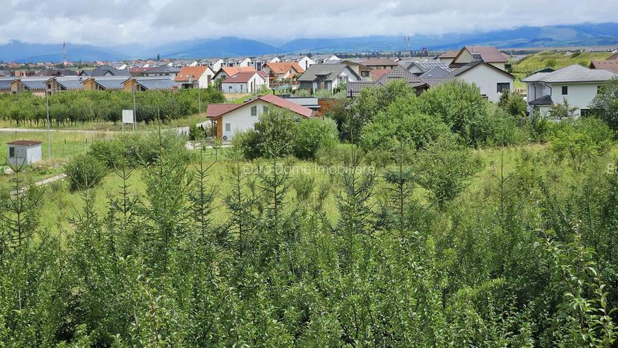 Vila noua-Sanpetru Dealul Lempes, zona verde si linistita - 22