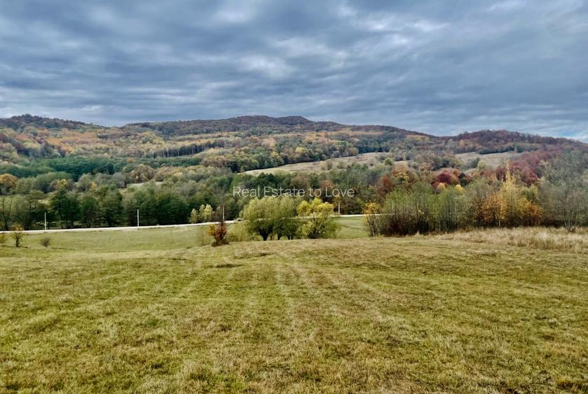 Teren la padure, panoramic dealuri si paduri, curent si asfalt - 3